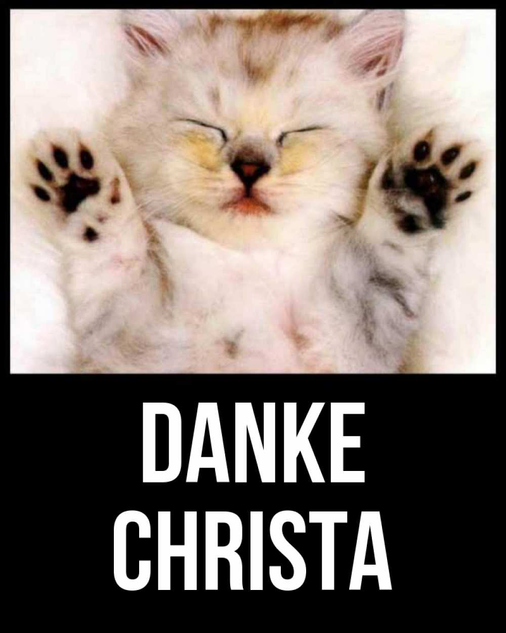 Открытка на каждый день с именем, Christa Danke маленький котенок Прикольная открытка с пожеланием онлайн скачать бесплатно 