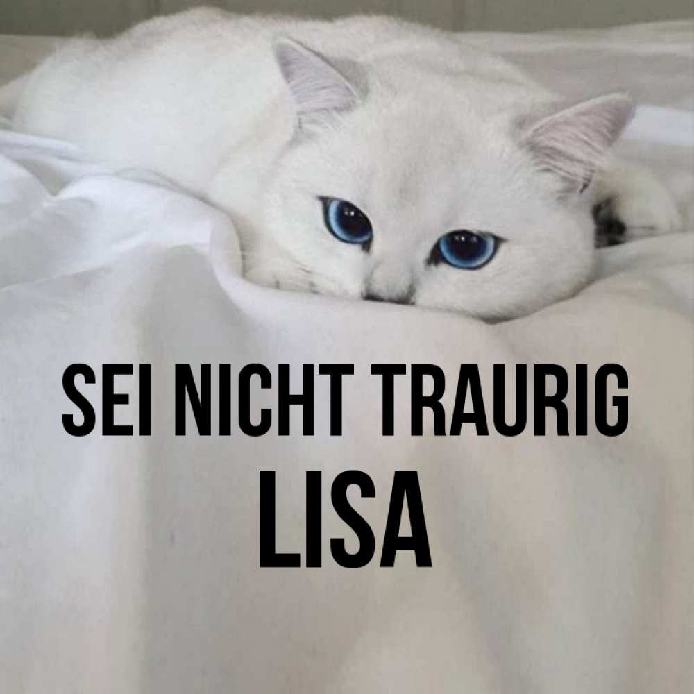 Открытка на каждый день с именем, Lisa Sei nicht traurig Голубоглазая кошка Прикольная открытка с пожеланием онлайн скачать бесплатно 