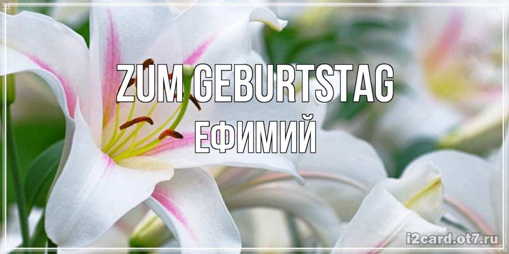 Открытка на каждый день с именем, Ефимий Zum Geburtstag открытка с белой лилией Прикольная открытка с пожеланием онлайн скачать бесплатно 