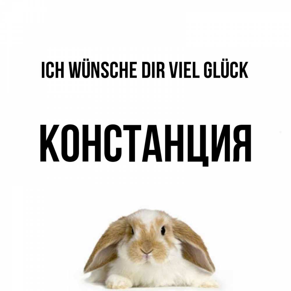 Открытка на каждый день с именем, Констанция Ich wünsche dir viel Glück открытки с произвольным текстом который можно вставить в открытку и создать ее самостоятельно бесплатно онлайн Прикольная открытка с пожеланием онлайн скачать бесплатно 