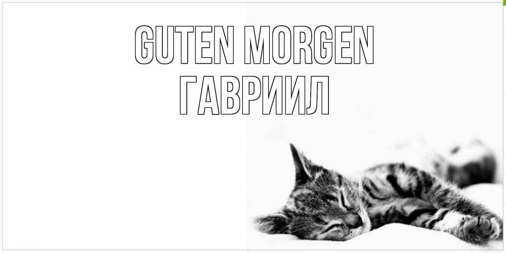 Открытка на каждый день с именем, Гавриил Guten Morgen котуся Прикольная открытка с пожеланием онлайн скачать бесплатно 