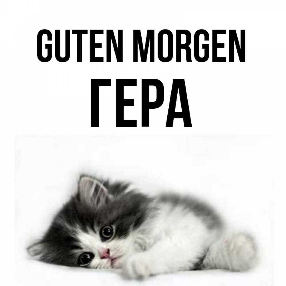 Открытка на каждый день с именем, Гера Guten Morgen кот лапки Прикольная открытка с пожеланием онлайн скачать бесплатно 