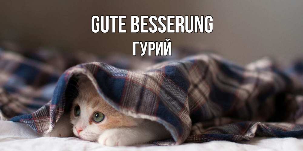 Открытка на каждый день с именем, Гурий Gute Besserung не болейте с котиком Прикольная открытка с пожеланием онлайн скачать бесплатно 