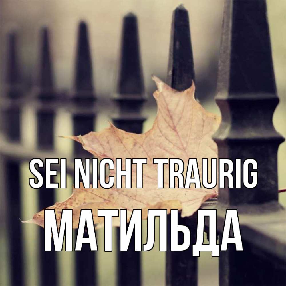 Открытка на каждый день с именем, Матильда Sei nicht traurig лист клена Прикольная открытка с пожеланием онлайн скачать бесплатно 