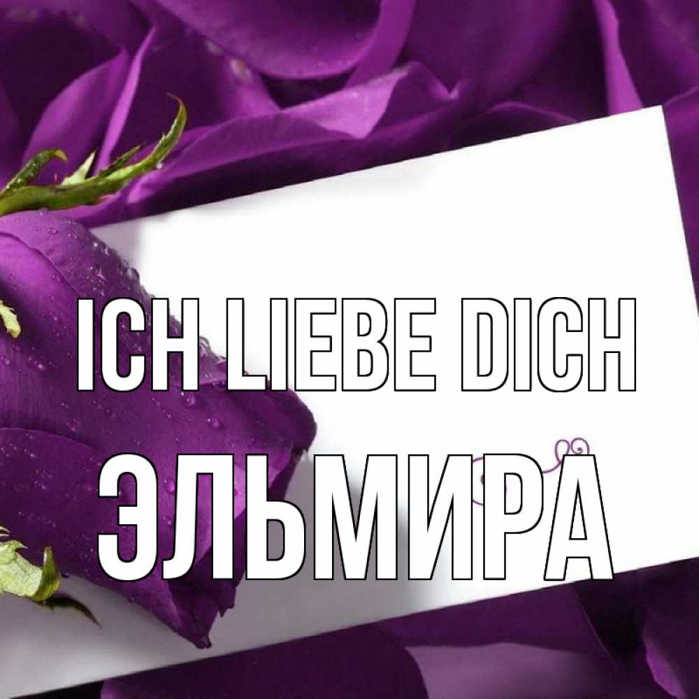 Открытка на каждый день с именем, Эльмира Ich liebe dich роза Прикольная открытка с пожеланием онлайн скачать бесплатно 