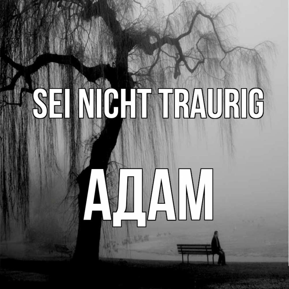 Открытка на каждый день с именем, Адам Sei nicht traurig висящие ветки дерева и лавочка под деревом Прикольная открытка с пожеланием онлайн скачать бесплатно 
