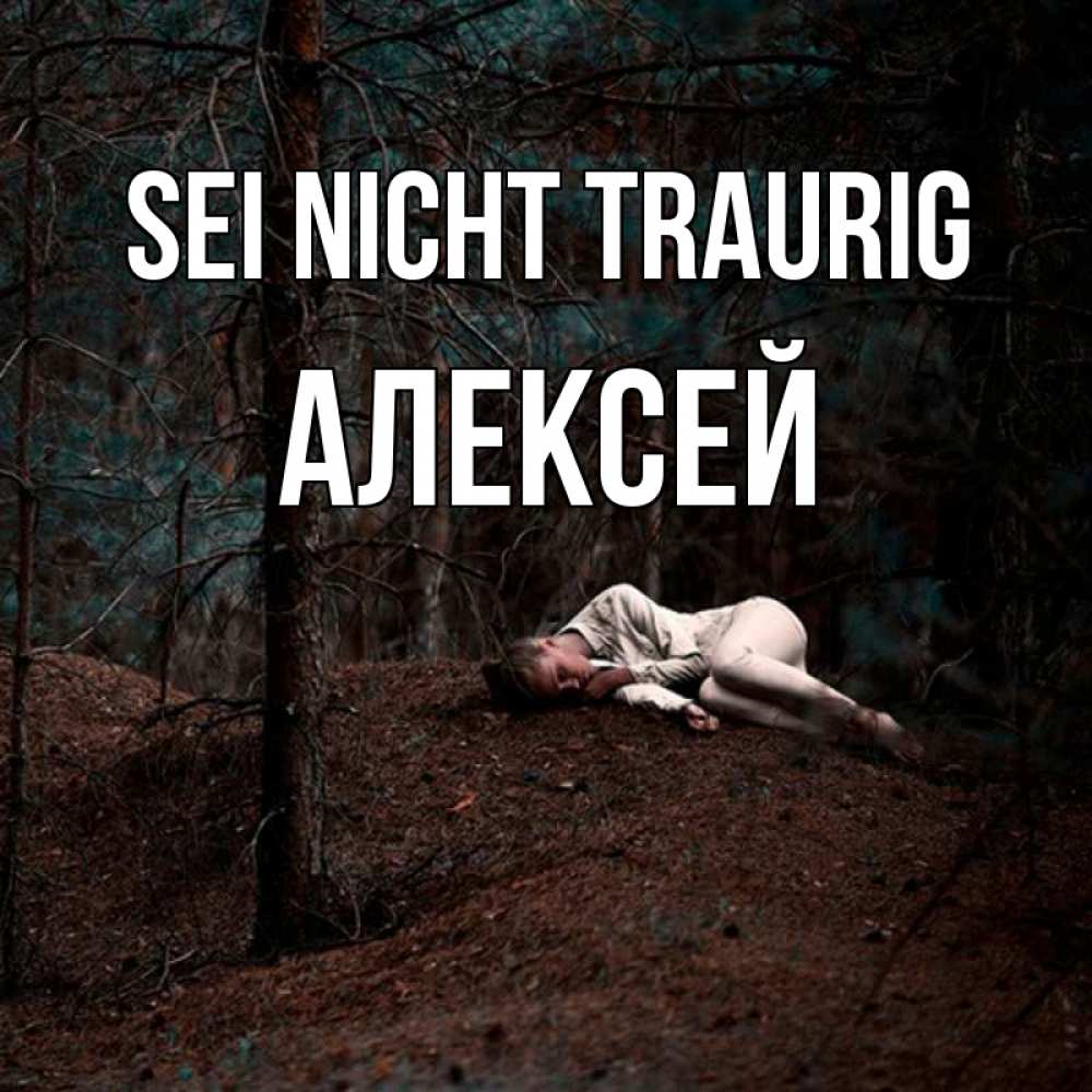 Открытка на каждый день с именем, Алексей Sei nicht traurig лес Прикольная открытка с пожеланием онлайн скачать бесплатно 