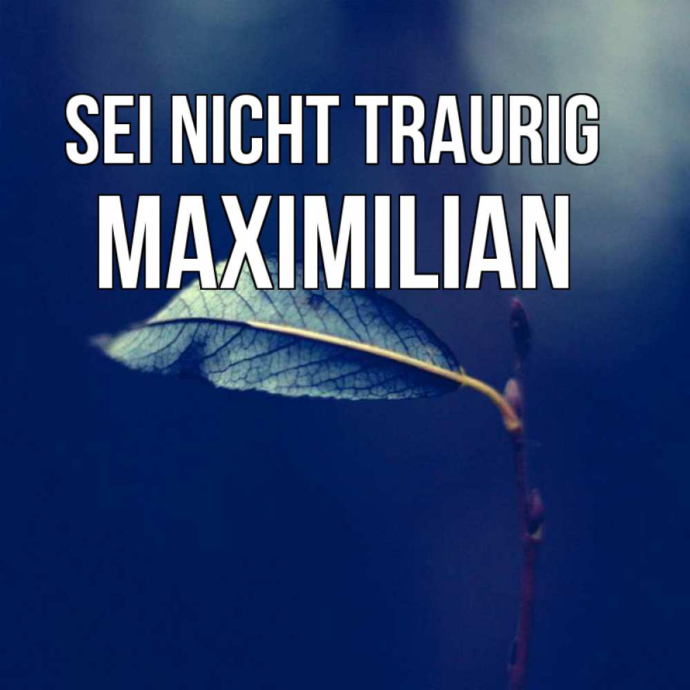 Открытка на каждый день с именем, Maximilian Sei nicht traurig растение Прикольная открытка с пожеланием онлайн скачать бесплатно 