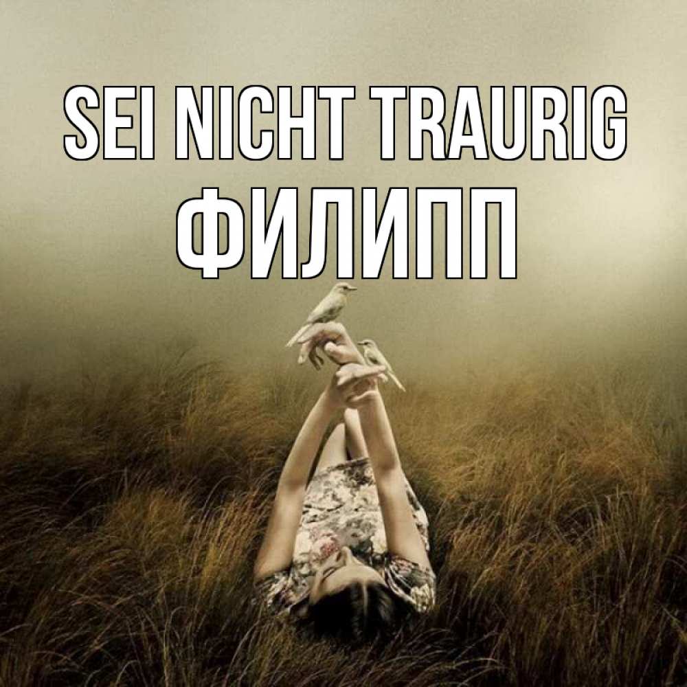 Открытка на каждый день с именем, Филипп Sei nicht traurig поле и туман Прикольная открытка с пожеланием онлайн скачать бесплатно 