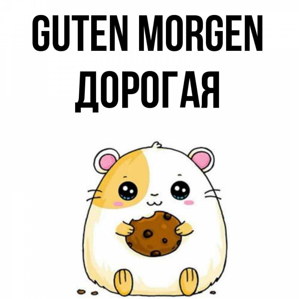 Открытка на каждый день с именем, Дорогая Guten Morgen есть печеньку. Утречко Прикольная открытка с пожеланием онлайн скачать бесплатно 