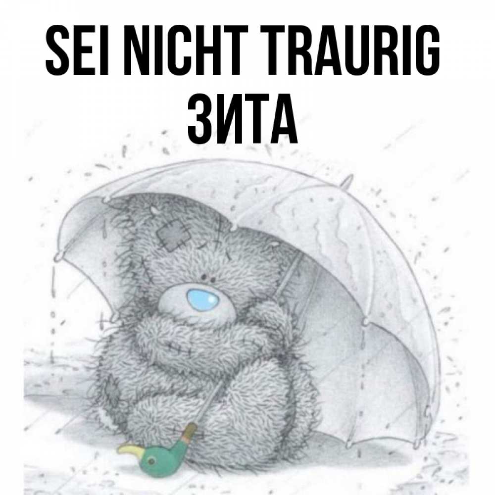 Открытка на каждый день с именем, Зита Sei nicht traurig спасите мишку Тедди Прикольная открытка с пожеланием онлайн скачать бесплатно 