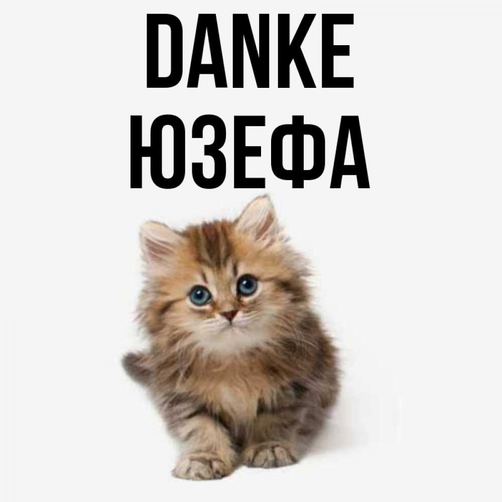 Открытка на каждый день с именем, Юзефа Danke пушистый котик Прикольная открытка с пожеланием онлайн скачать бесплатно 