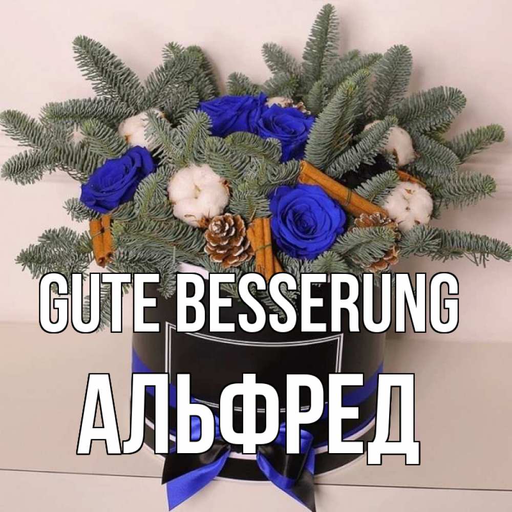Открытка на каждый день с именем, Альфред Gute Besserung короче кто то загрузил эти шишки Прикольная открытка с пожеланием онлайн скачать бесплатно 