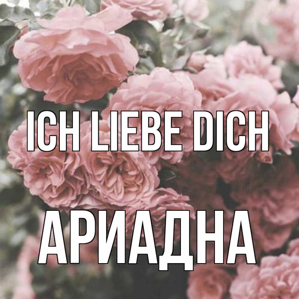 Открытка на каждый день с именем, Ариадна Ich liebe dich розы 3 Прикольная открытка с пожеланием онлайн скачать бесплатно 