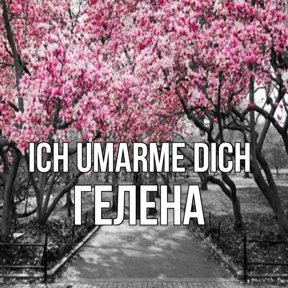 Открытка на каждый день с именем, Гелена Ich umarme dich обработанное фото Прикольная открытка с пожеланием онлайн скачать бесплатно 