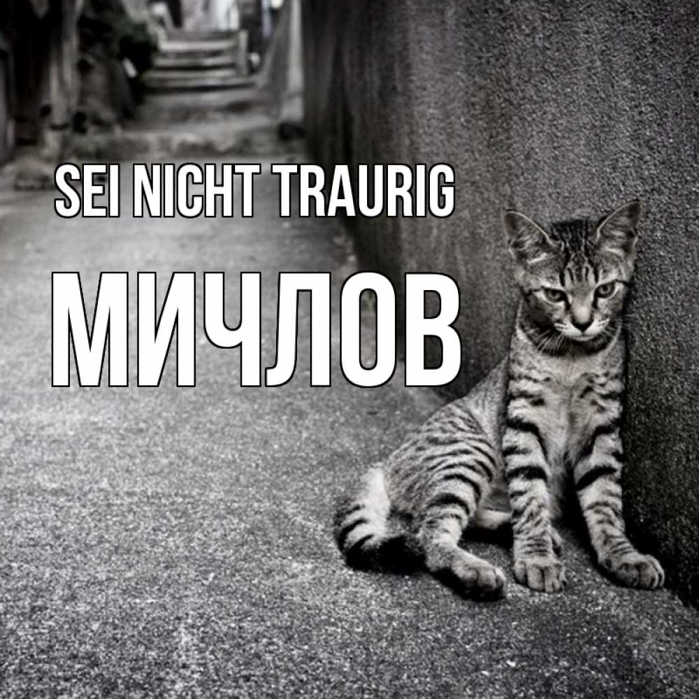 Открытка на каждый день с именем, Мичлов Sei nicht traurig скучающий котик Прикольная открытка с пожеланием онлайн скачать бесплатно 