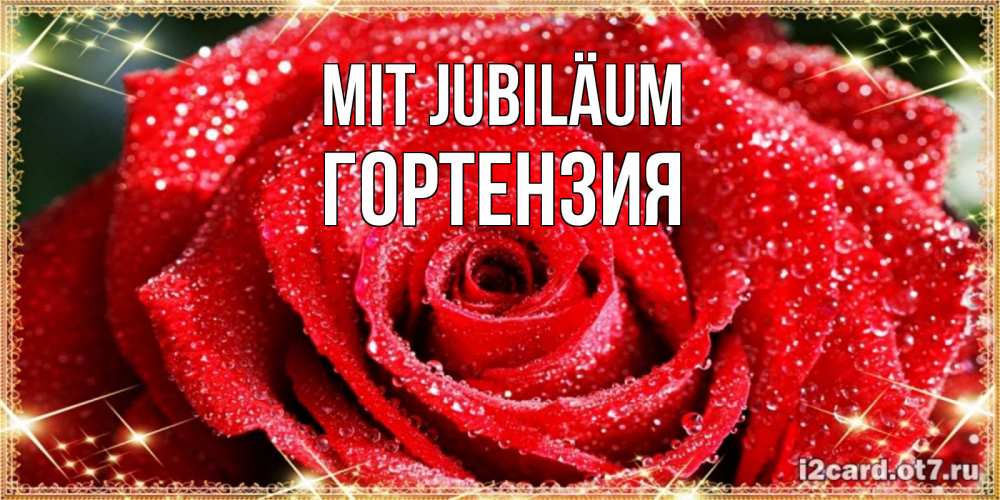 Открытка на каждый день с именем, Гортензия Mit Jubiläum роса и роза. открытка с красивой розой Прикольная открытка с пожеланием онлайн скачать бесплатно 