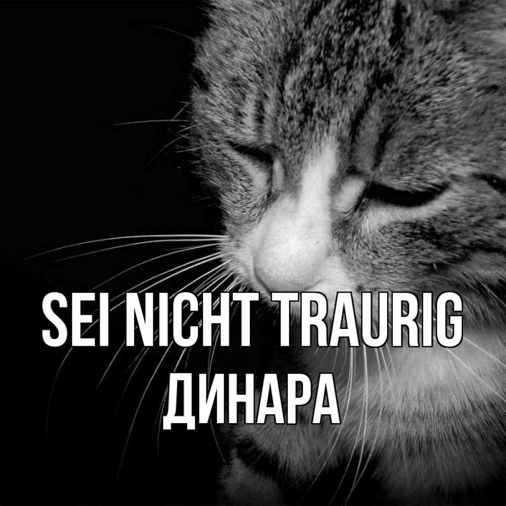 Открытка на каждый день с именем, Динара Sei nicht traurig грустный котик Прикольная открытка с пожеланием онлайн скачать бесплатно 