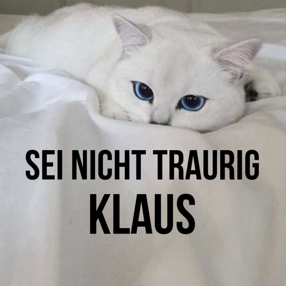 Открытка на каждый день с именем, Klaus Sei nicht traurig Голубоглазая кошка Прикольная открытка с пожеланием онлайн скачать бесплатно 