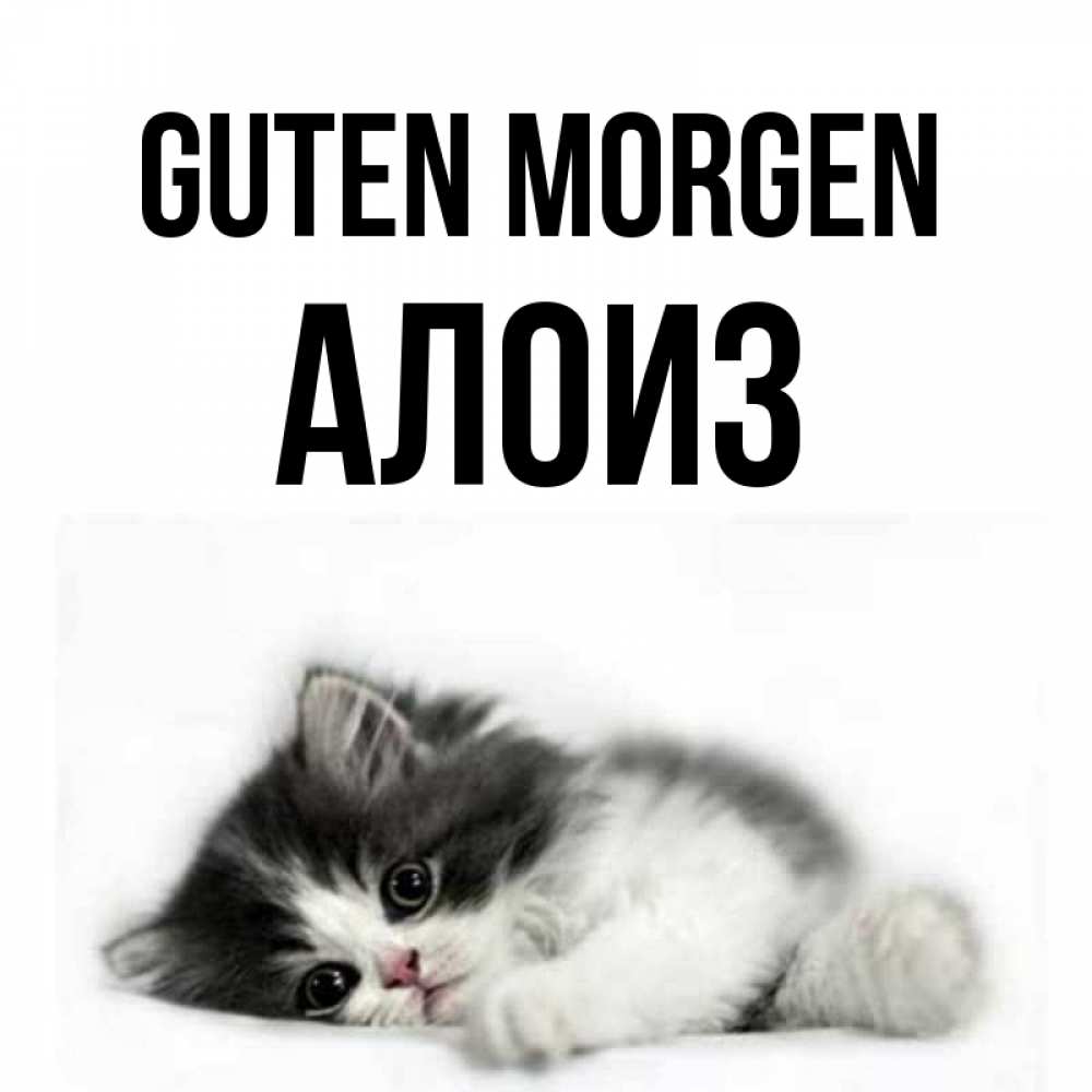 Открытка на каждый день с именем, Алоиз Guten Morgen кот лапки Прикольная открытка с пожеланием онлайн скачать бесплатно 