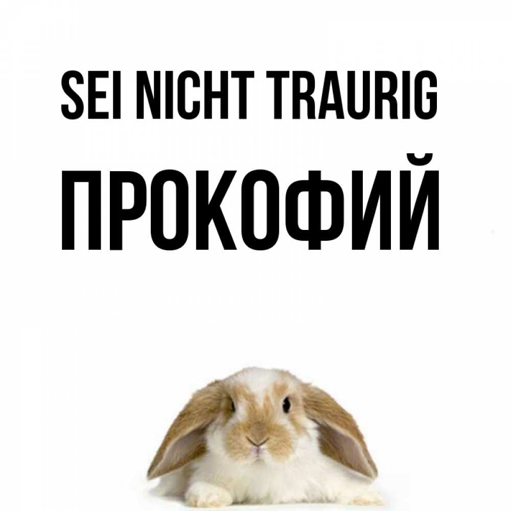 Открытка на каждый день с именем, Прокофий Sei nicht traurig коричнево белый заяц с большими ушками Прикольная открытка с пожеланием онлайн скачать бесплатно 