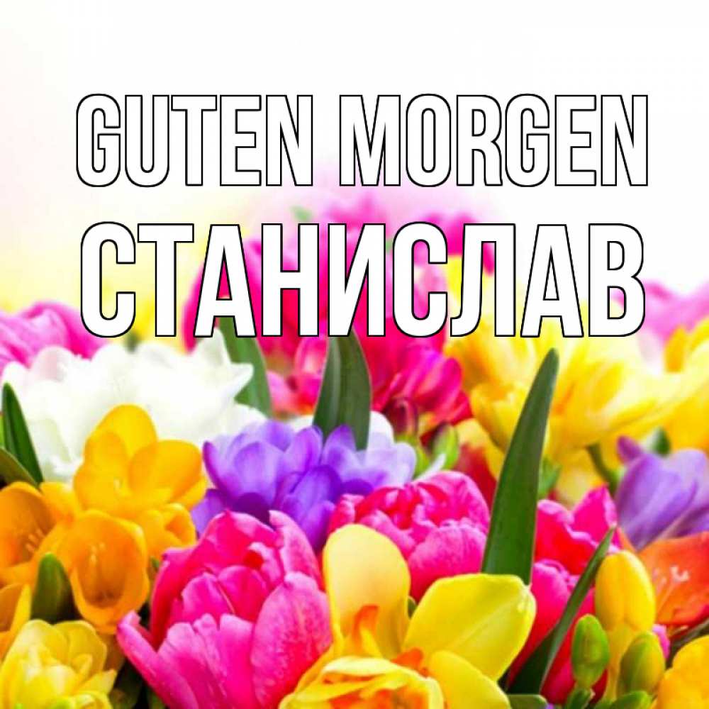 Открытка на каждый день с именем, Станислав Guten Morgen создать открытку со свое подписью Прикольная открытка с пожеланием онлайн скачать бесплатно 