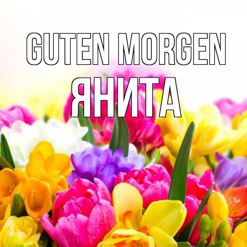 Открытка на каждый день с именем, Янита Guten Morgen создать открытку со свое подписью Прикольная открытка с пожеланием онлайн скачать бесплатно 