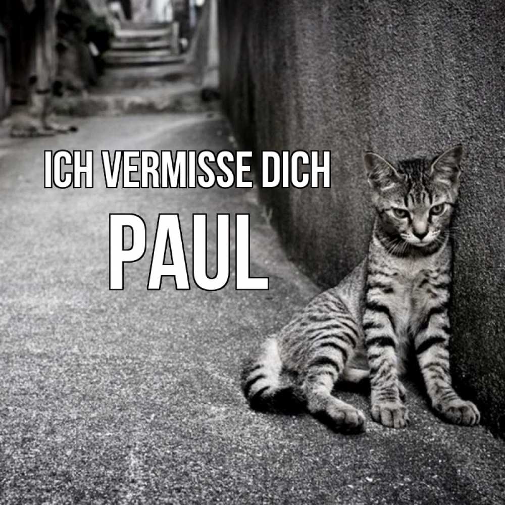Открытка на каждый день с именем, Paul Ich vermisse dich одиноко котику Прикольная открытка с пожеланием онлайн скачать бесплатно 