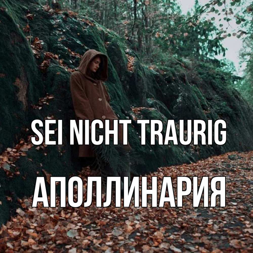 Открытка на каждый день с именем, Аполлинария Sei nicht traurig осенний лес Прикольная открытка с пожеланием онлайн скачать бесплатно 