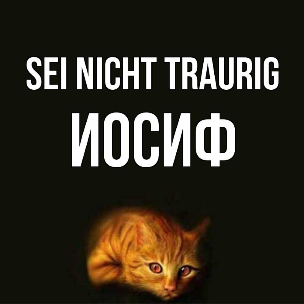 Открытка на каждый день с именем, Иосиф Sei nicht traurig лежащий кот в темноте Прикольная открытка с пожеланием онлайн скачать бесплатно 