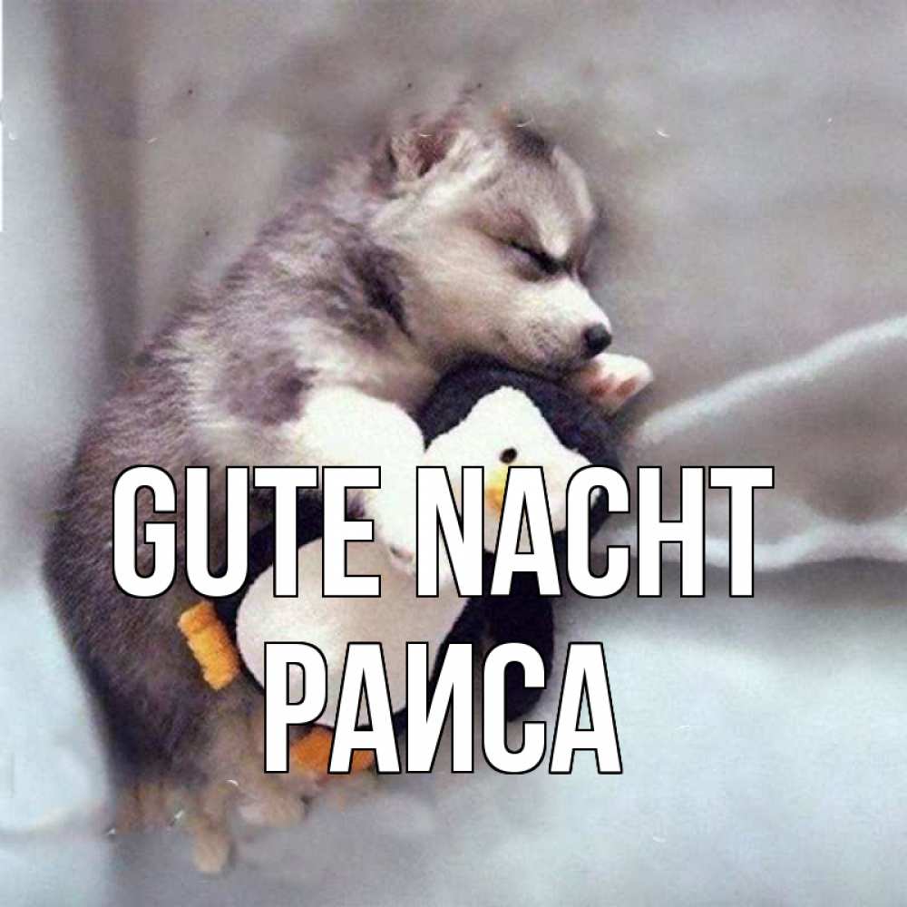 Открытка на каждый день с именем, Раиса Gute Nacht обнимашки щенка и пингвина Прикольная открытка с пожеланием онлайн скачать бесплатно 