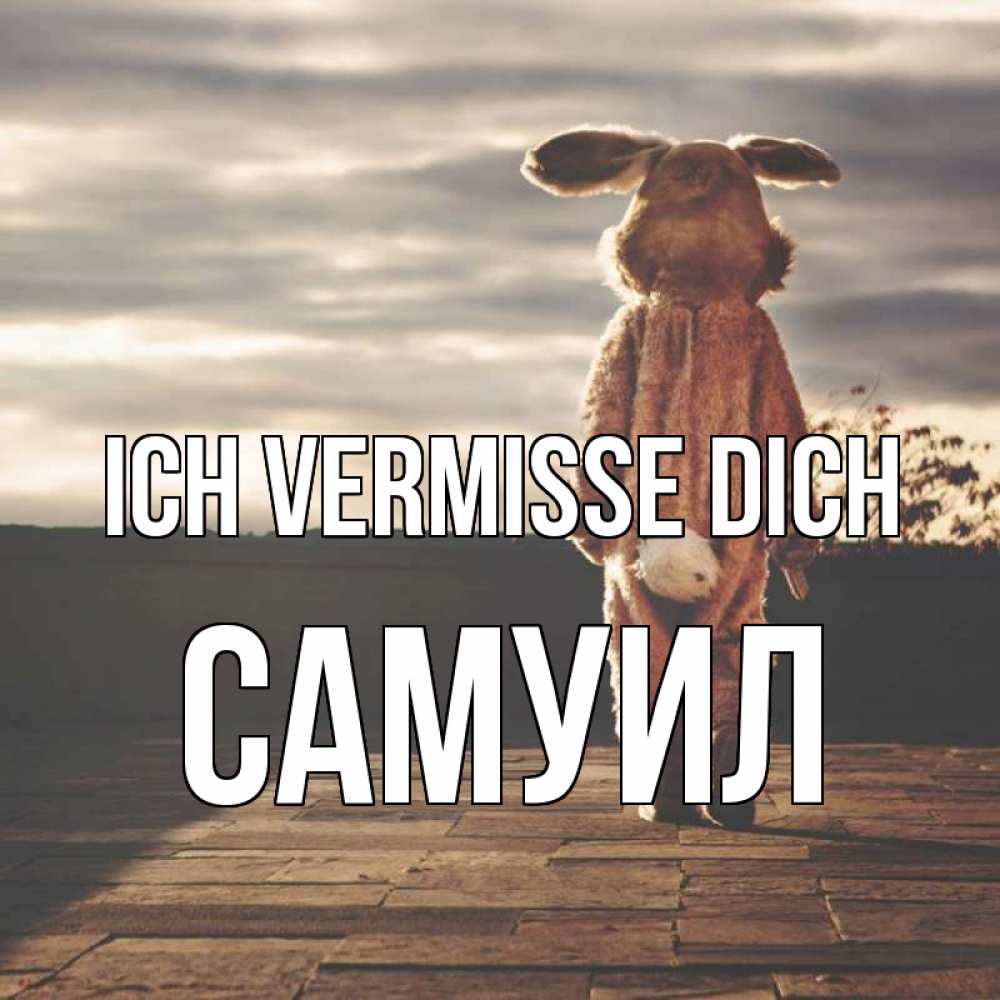 Открытка на каждый день с именем, Самуил Ich vermisse dich даже в костюме зайца Прикольная открытка с пожеланием онлайн скачать бесплатно 