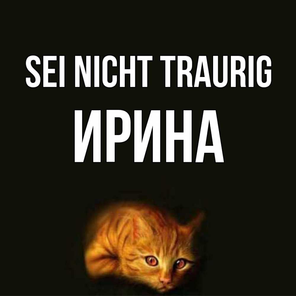 Открытка на каждый день с именем, Ирина Sei nicht traurig лежащий кот в темноте Прикольная открытка с пожеланием онлайн скачать бесплатно 