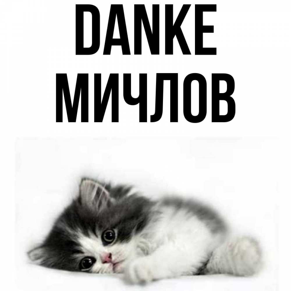Открытка на каждый день с именем, Мичлов Danke черный и белый кот Прикольная открытка с пожеланием онлайн скачать бесплатно 