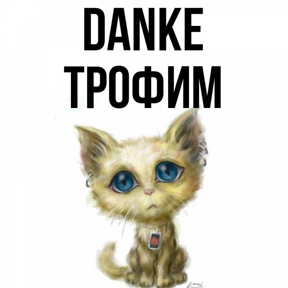 Открытка на каждый день с именем, Трофим Danke рисованный кот благодарит вас Прикольная открытка с пожеланием онлайн скачать бесплатно 