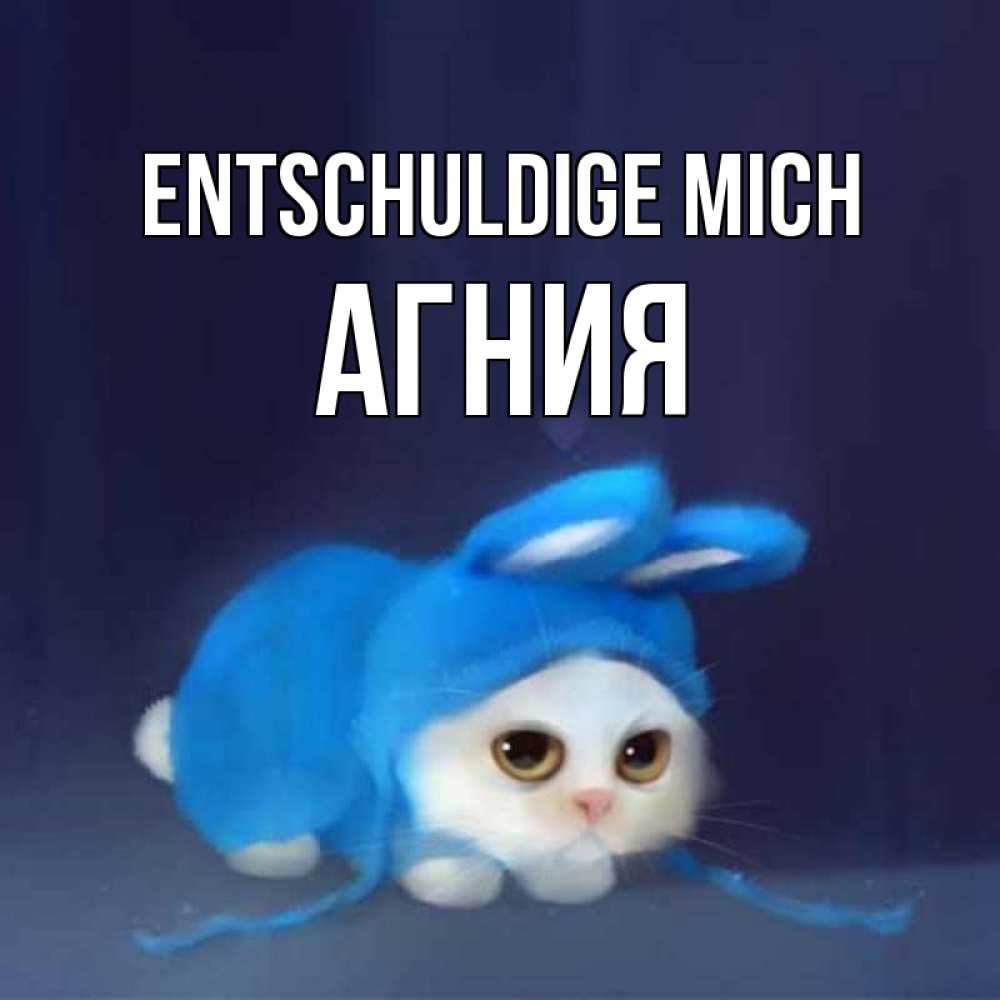 Открытка на каждый день с именем, Агния Entschuldige mich невинный котозай просит прощения Прикольная открытка с пожеланием онлайн скачать бесплатно 