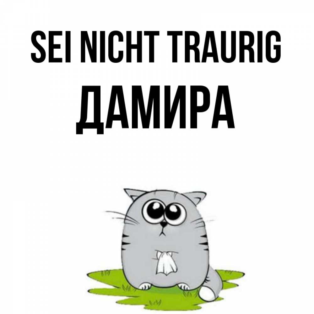 Открытка на каждый день с именем, Дамира Sei nicht traurig грустный котяра Прикольная открытка с пожеланием онлайн скачать бесплатно 
