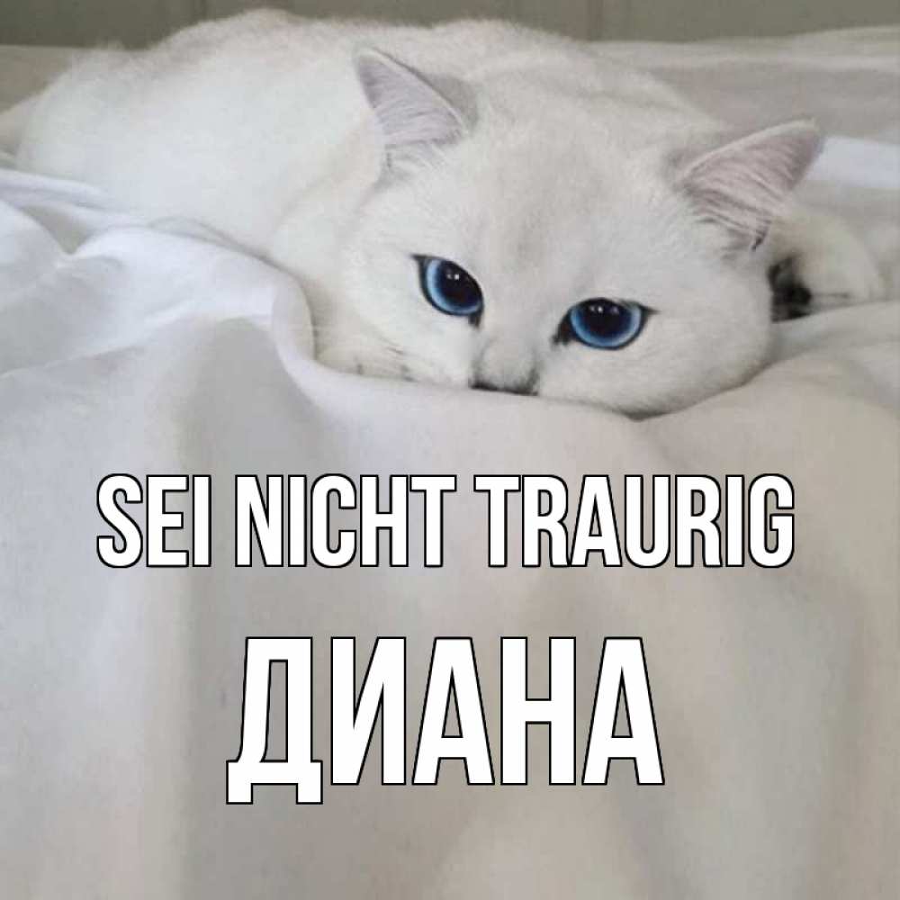 Открытка на каждый день с именем, Диана Sei nicht traurig белый кот с голубыми глазами на белоснежной кровати Прикольная открытка с пожеланием онлайн скачать бесплатно 