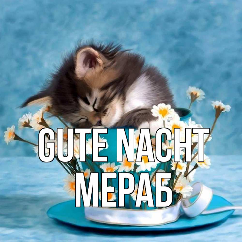 Открытка на каждый день с именем, Мераб Gute Nacht котенок спит в кружке с блюдцем Прикольная открытка с пожеланием онлайн скачать бесплатно 