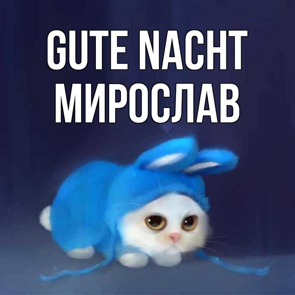 Открытка на каждый день с именем, Мирослав Gute Nacht кот в голубом костюме кролика с ушками Прикольная открытка с пожеланием онлайн скачать бесплатно 
