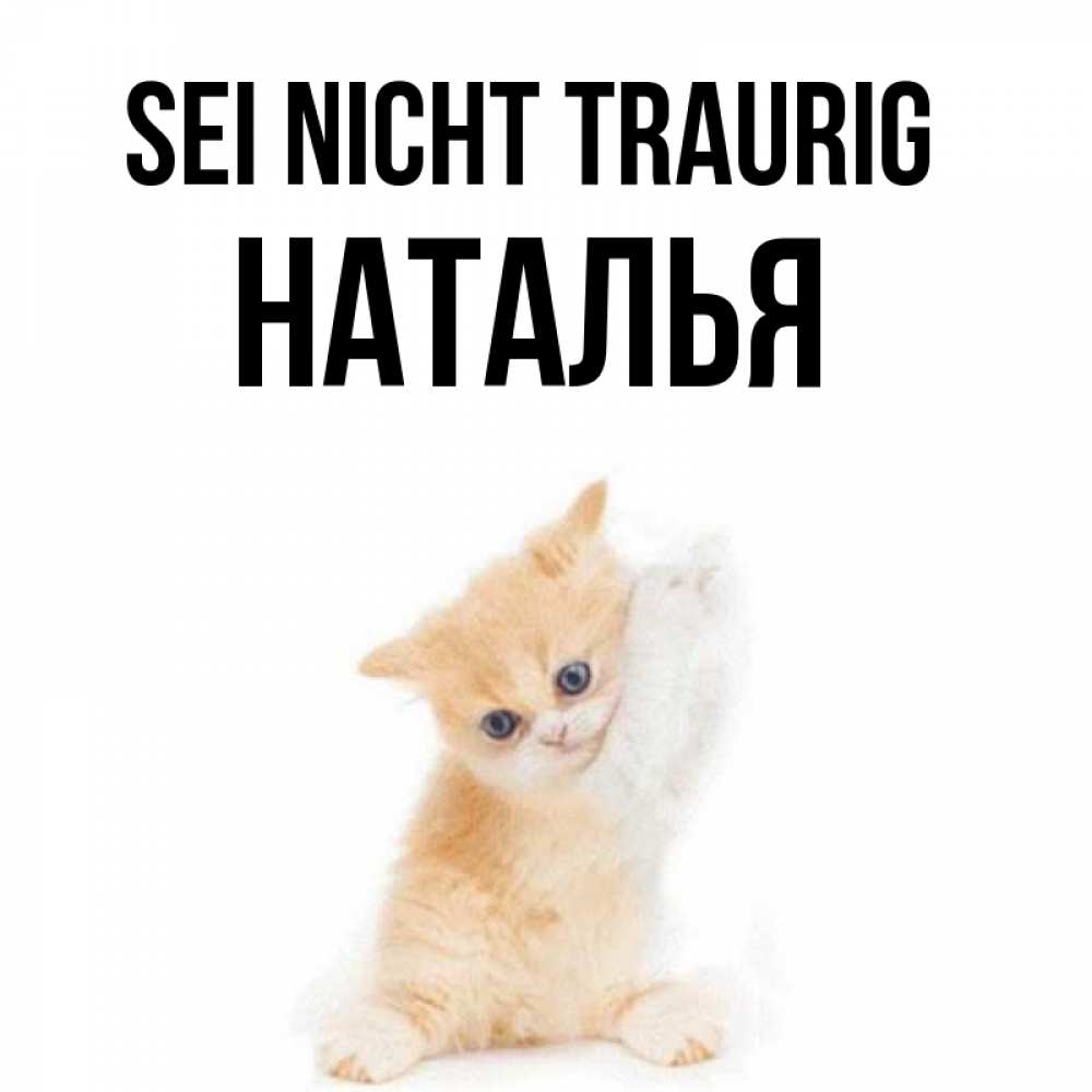 Открытка на каждый день с именем, Наталья Sei nicht traurig просящий кот Прикольная открытка с пожеланием онлайн скачать бесплатно 