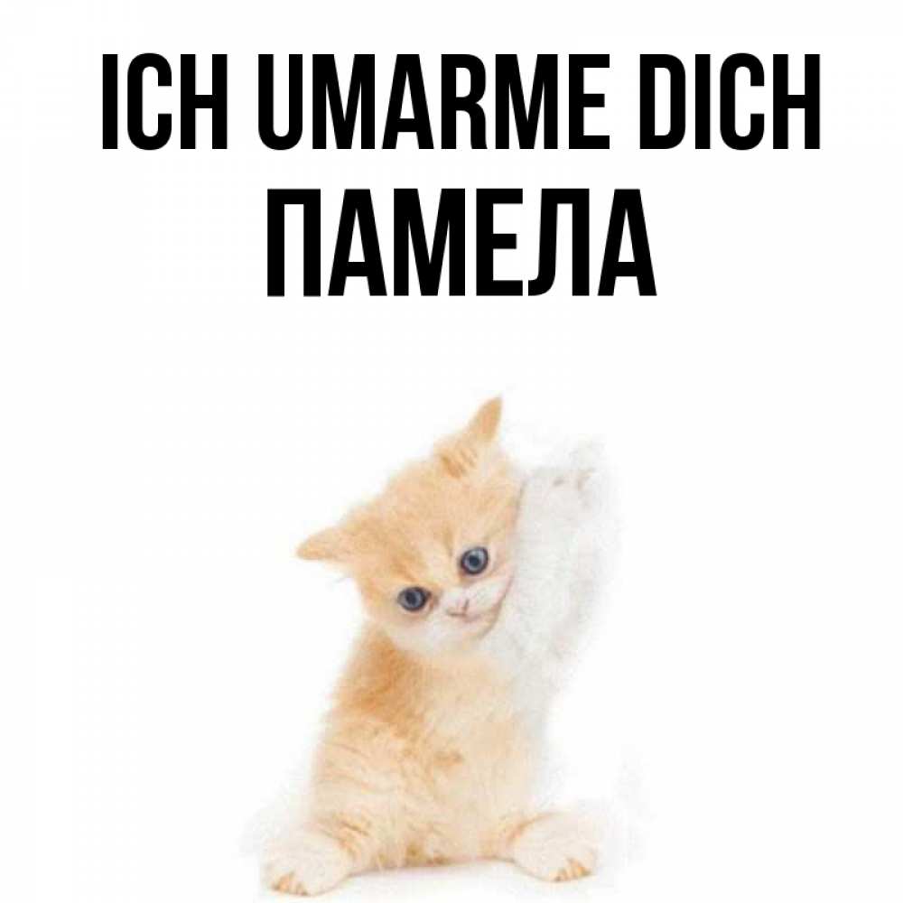 Открытка на каждый день с именем, Памела Ich umarme dich я хочу очень скорее обнимаешек Прикольная открытка с пожеланием онлайн скачать бесплатно 