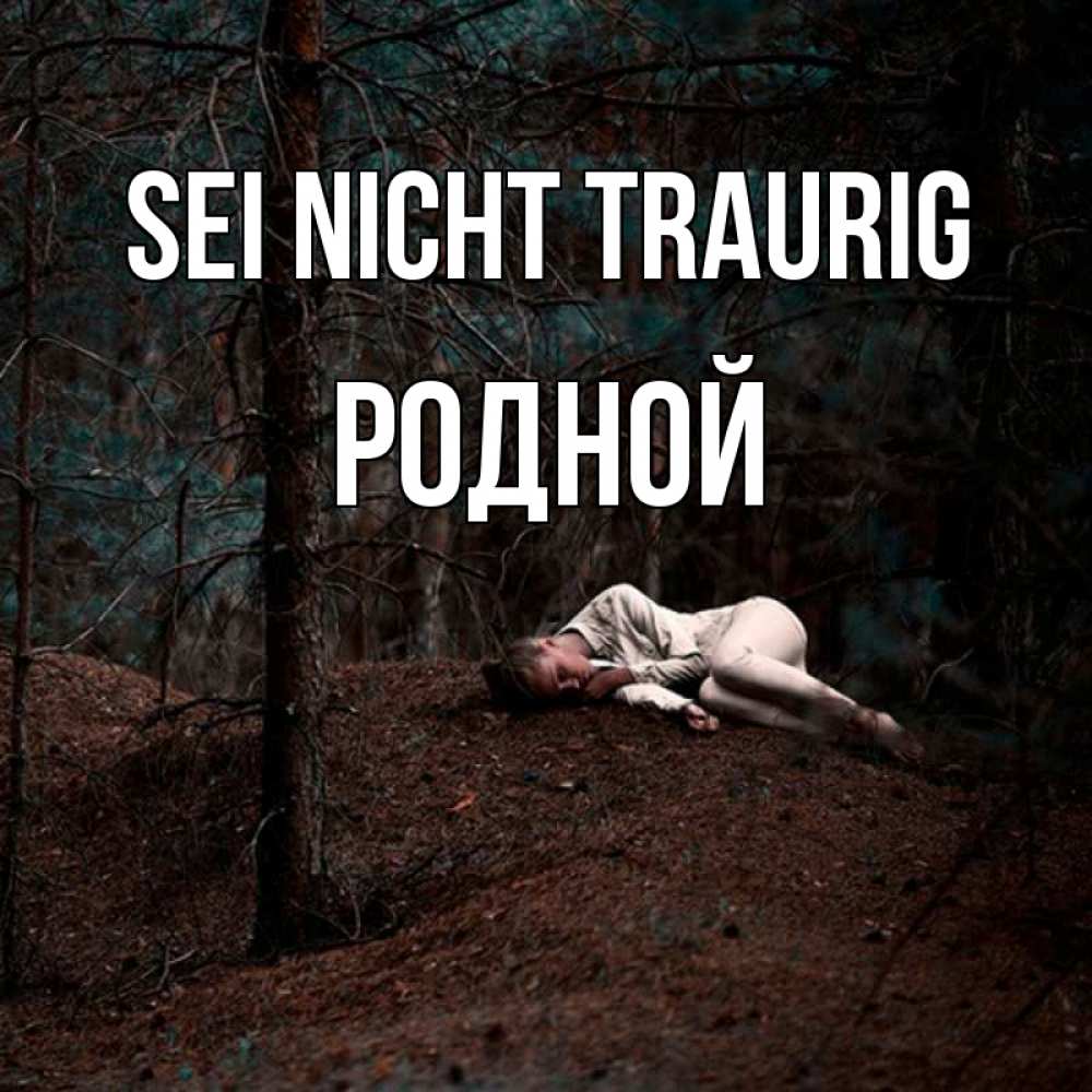 Открытка на каждый день с именем, Родной Sei nicht traurig лес Прикольная открытка с пожеланием онлайн скачать бесплатно 