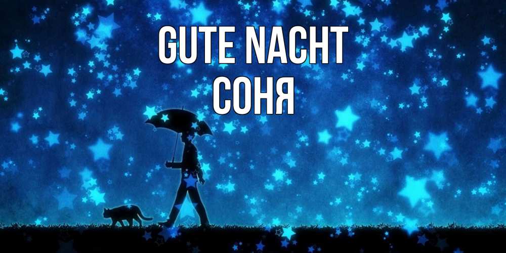 Открытка на каждый день с именем, Соня Gute Nacht ночные прогулки с котом под звездами Прикольная открытка с пожеланием онлайн скачать бесплатно 