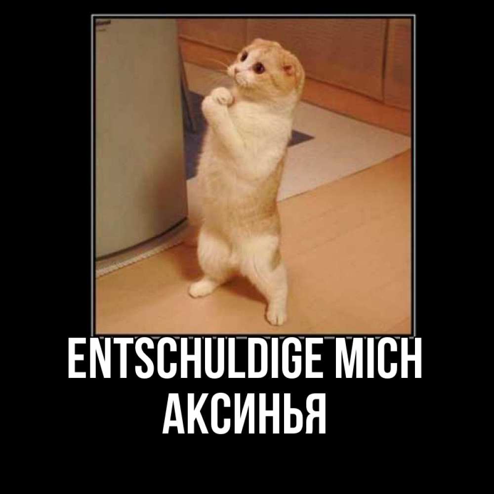 Открытка на каждый день с именем, Аксинья Entschuldige mich открытка с милым несчастным котиком просящим прощения Прикольная открытка с пожеланием онлайн скачать бесплатно 