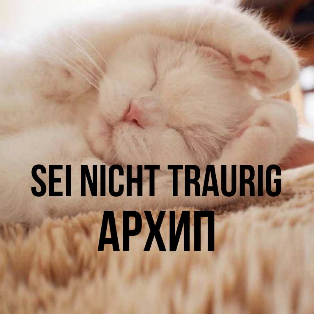 Открытка на каждый день с именем, Архип Sei nicht traurig Котенок спит Прикольная открытка с пожеланием онлайн скачать бесплатно 