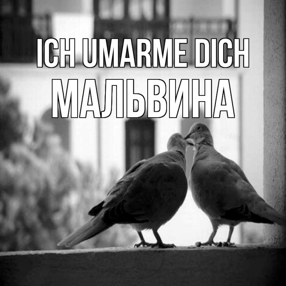 Открытка на каждый день с именем, Мальвина Ich umarme dich птицы на подоконнике Прикольная открытка с пожеланием онлайн скачать бесплатно 
