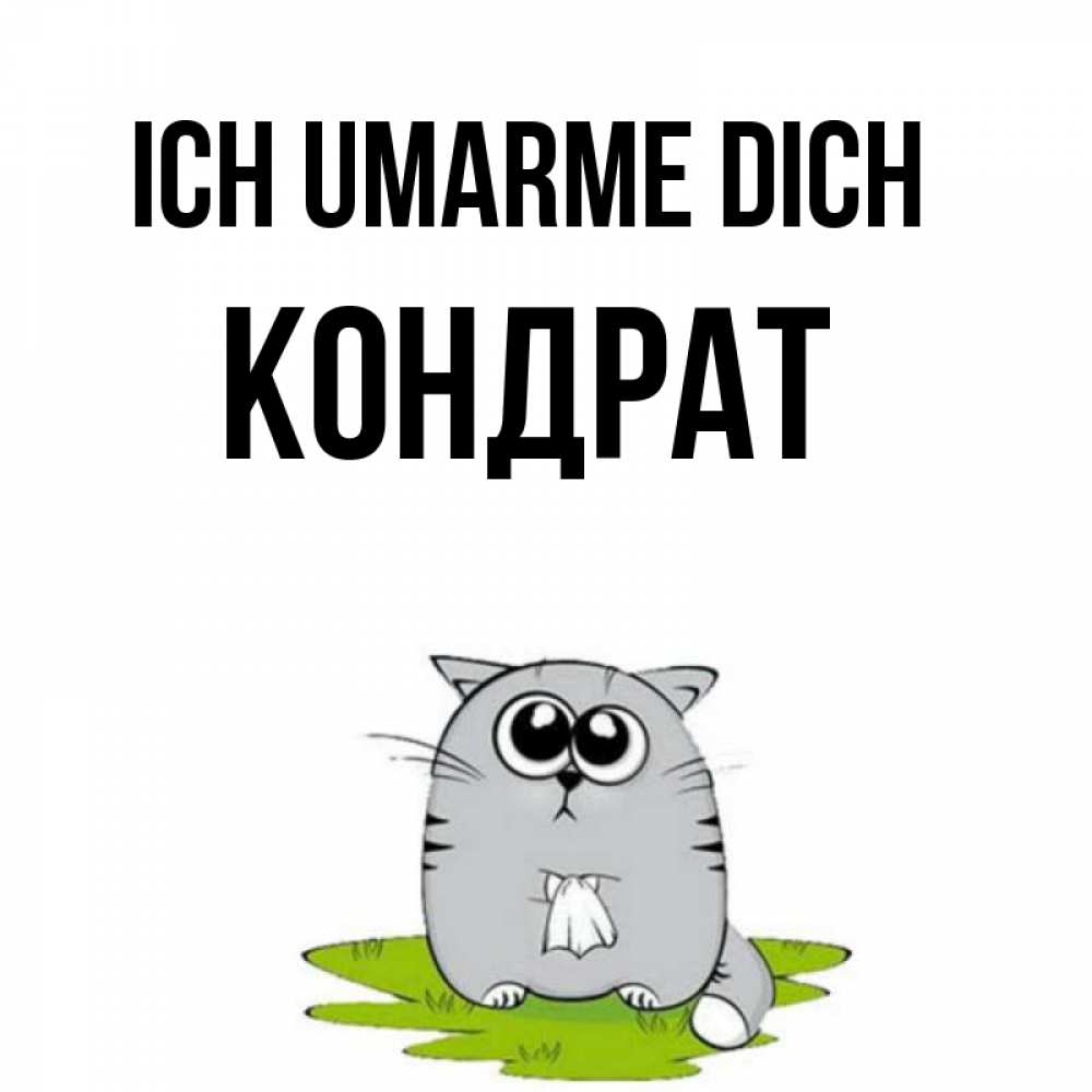Открытка на каждый день с именем, Кондрат Ich umarme dich котик теребит платочек сидя на травке Прикольная открытка с пожеланием онлайн скачать бесплатно 