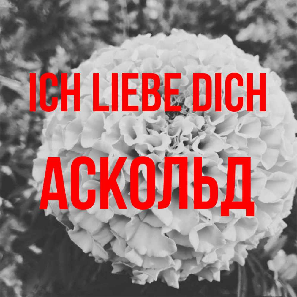 Открытка на каждый день с именем, Аскольд Ich liebe dich подпись Прикольная открытка с пожеланием онлайн скачать бесплатно 