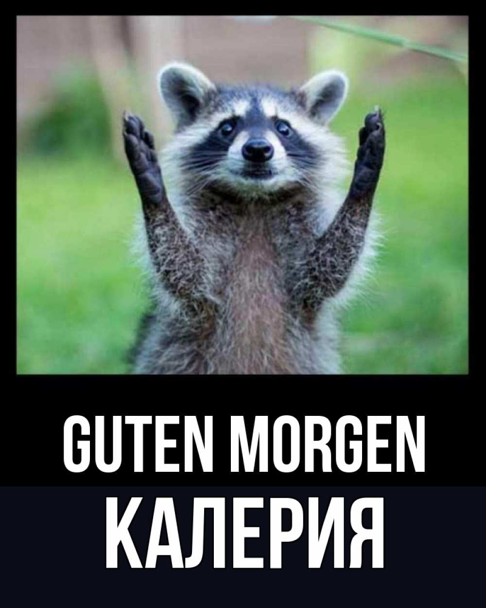 Открытка на каждый день с именем, Калерия Guten Morgen хорошее настроение утречком Прикольная открытка с пожеланием онлайн скачать бесплатно 